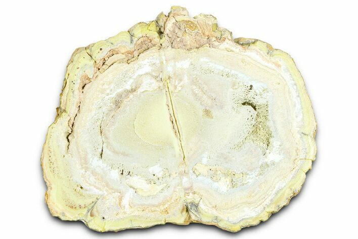Clay Canyon Crandallite and Wardite - Old Collection Stock #362012
